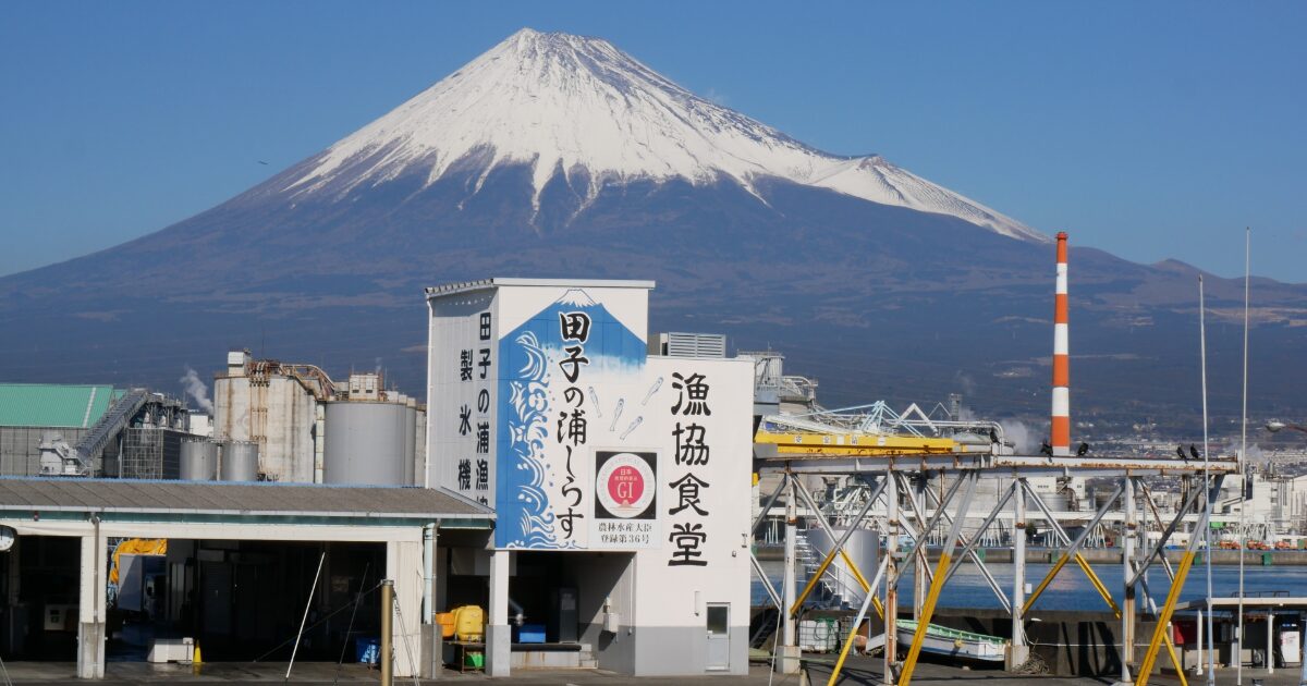 富士山と港の漁協施設が並ぶ海辺の風景