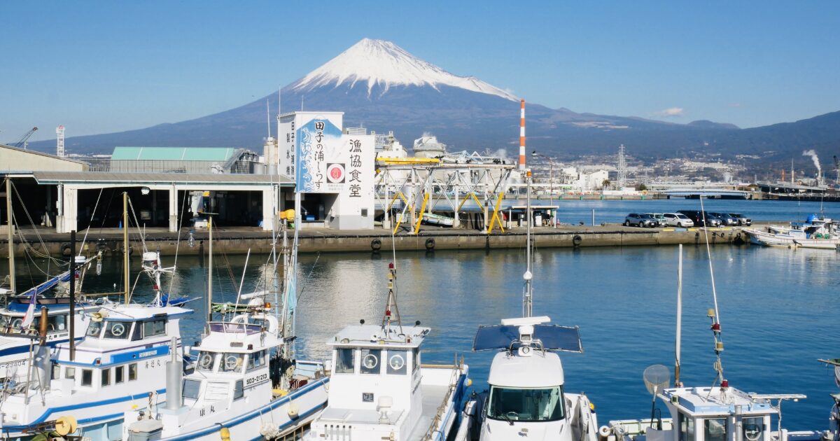 港に停泊する船と富士山を望む清水港の風景