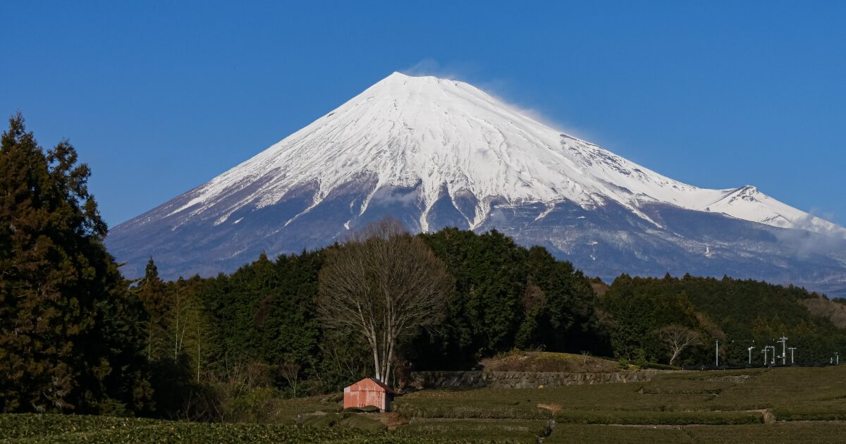 雪を頂く富士山と森に囲まれた里山の風景
