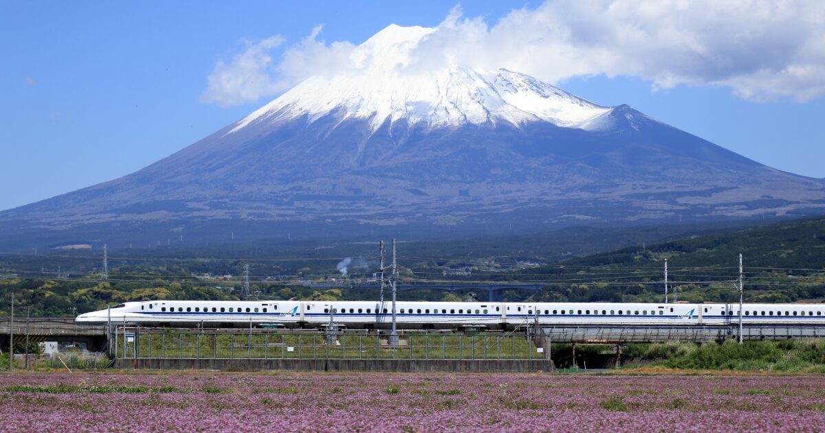 富士山と新幹線が走る花畑のある風景