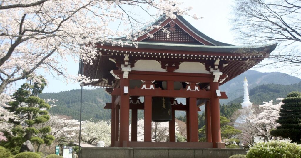 桜に囲まれた日本の寺院建築と鐘楼