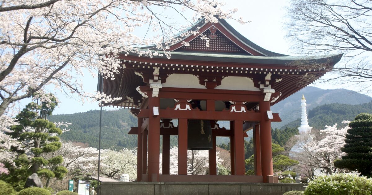 桜に囲まれた日本の寺院建築と鐘楼