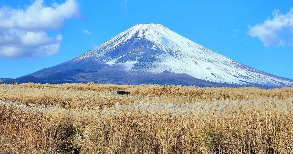 ススキ草原と雪化粧の富士山の風景