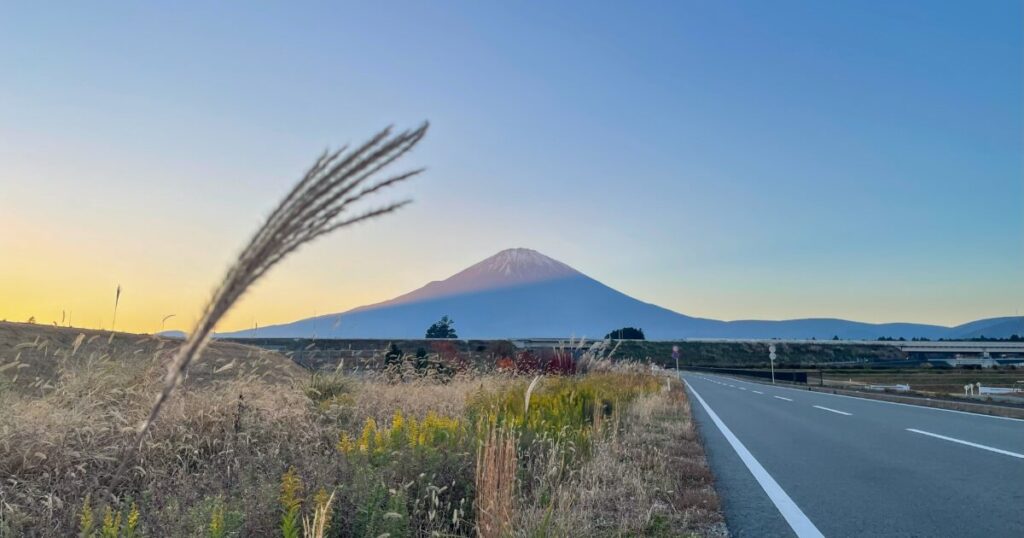 夕焼けの富士山とススキが揺れる道路沿いの風景