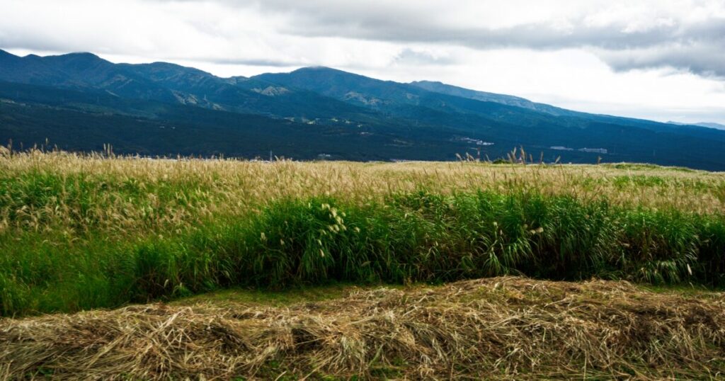 高原のススキ草原と山並みが広がる自然風景