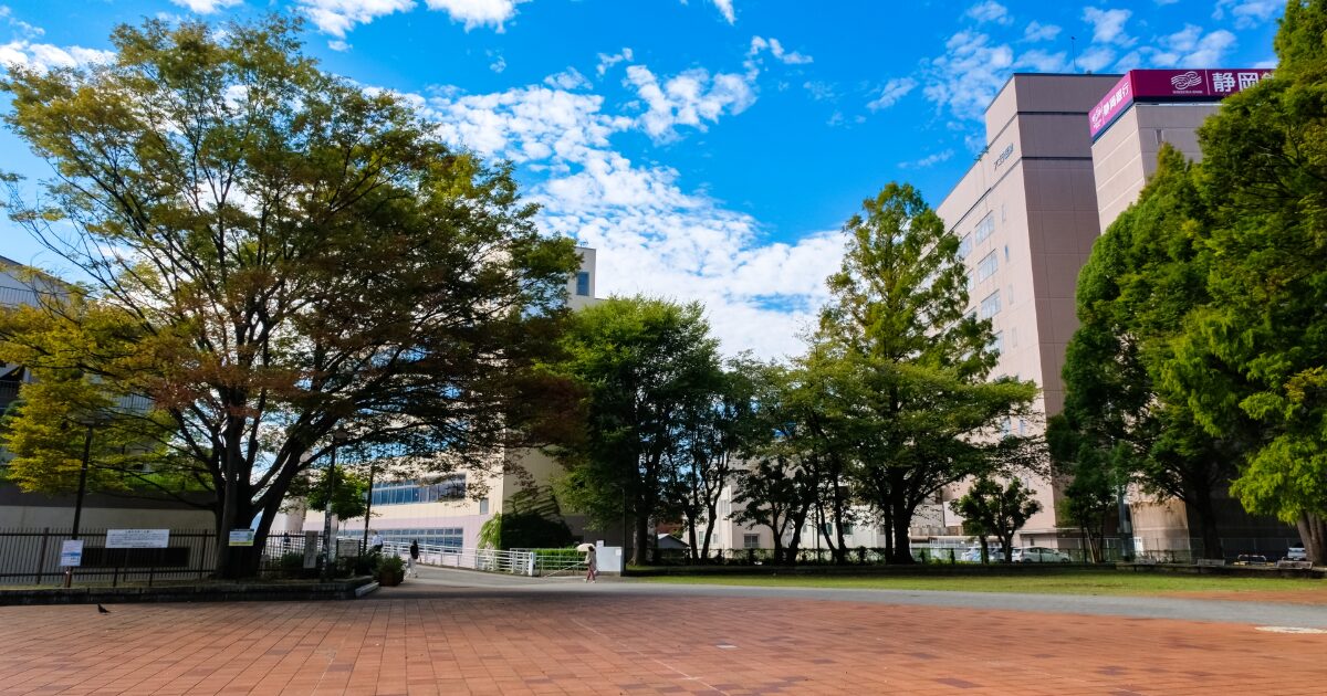 青空の下広がる公園と緑豊かな樹木の風景