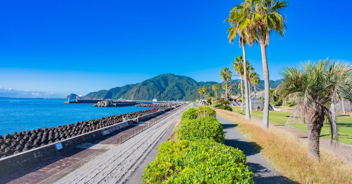 ヤシの木が並ぶ海沿いの遊歩道と青い海と山の風景